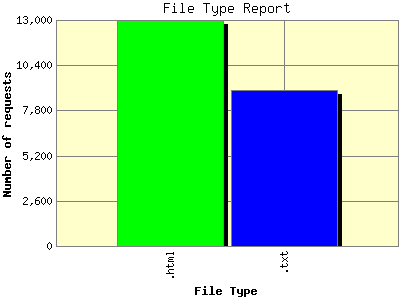 File Type Report: Number of requests by File Type.